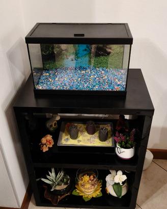 Acquario più mobile