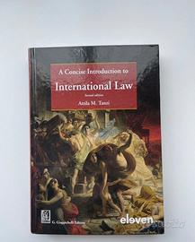 A coincise introduction to International Law