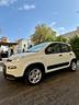 fiat-panda-1-0-hybrid-city-life-finanziabile-garan