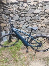 bicicletta elett