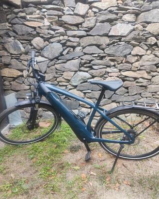bicicletta elett