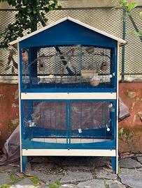 Canarino e Diamante mandarino