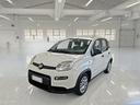 fiat-panda-1-0-hybrid-70cv-my22