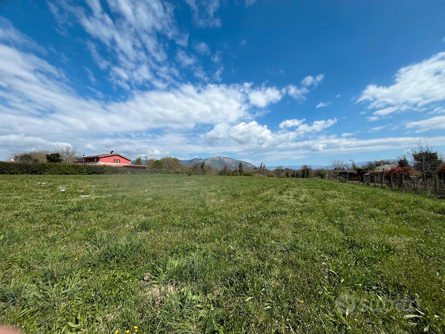 Valmontone: terreno agricolo pianeggiante - Vista 2