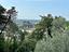 Immagine 23