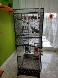 Voliera completa  con 17 diamantini mandarino