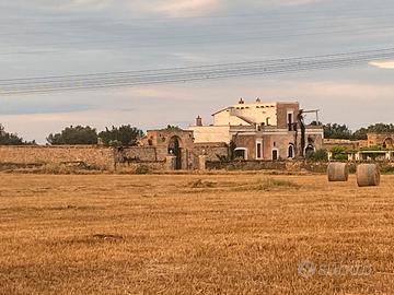 Masseria antica