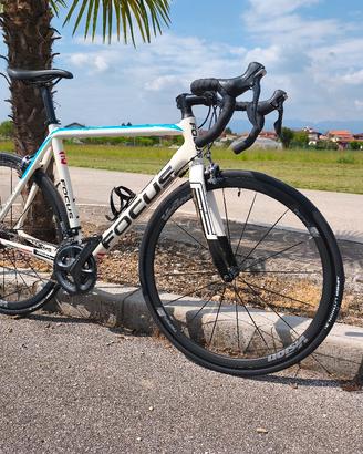 Bici corsa Focus team