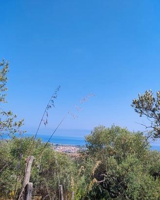 Terreno con rudere e vista mare