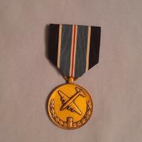 WW2 us medal Berlino