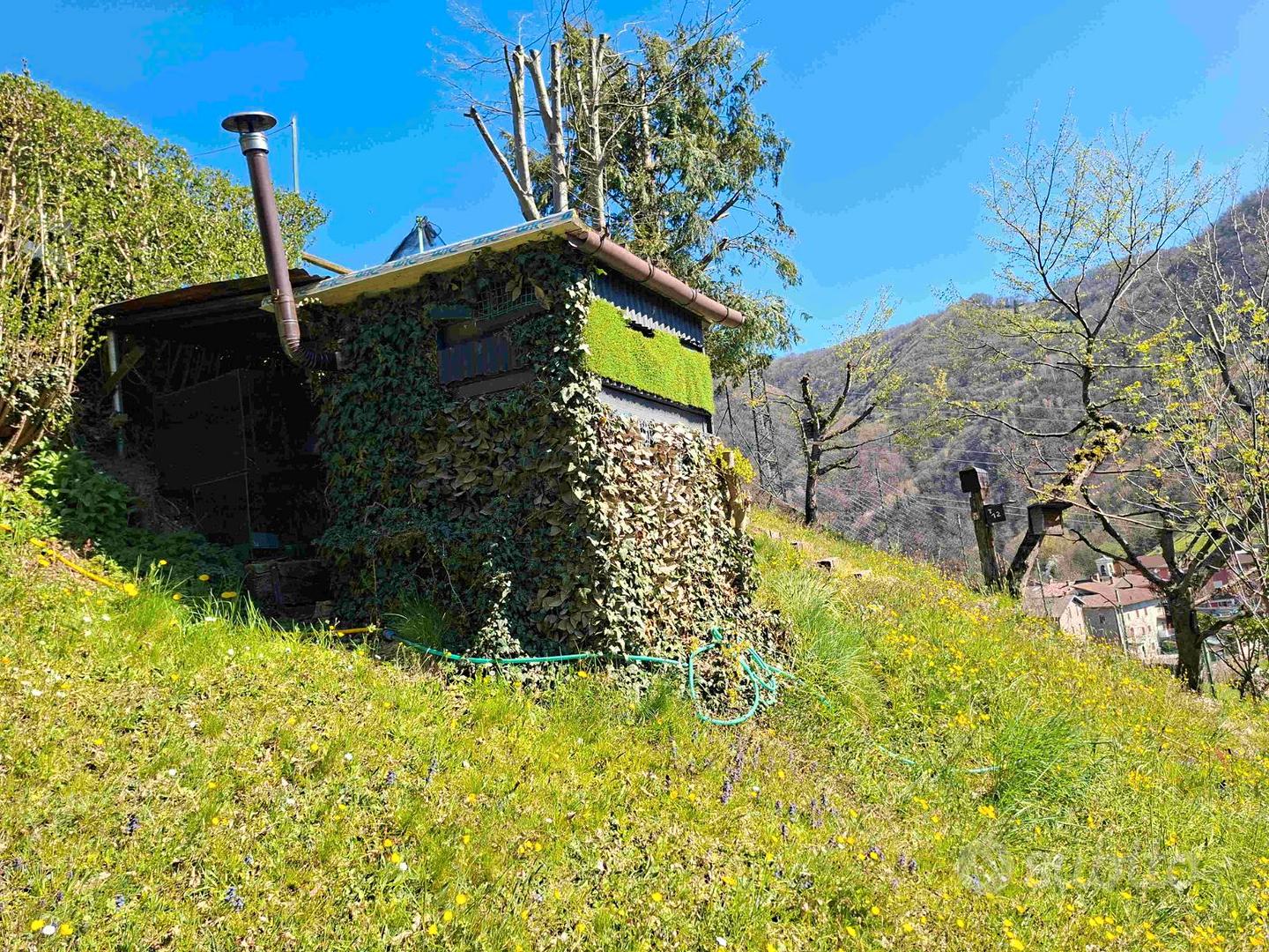 Capanno da caccia con terreno - Vista 5