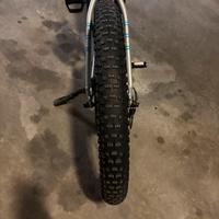 Bicicletta elettrica