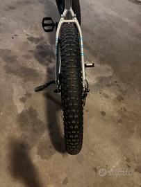 Bicicletta elettrica