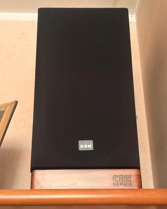 Coppia Diffusori Vintage ESB CDX series