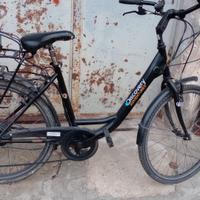 Bici elettrica 