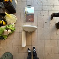 Lavandini ideal standard