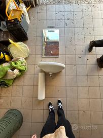 Lavandini ideal standard