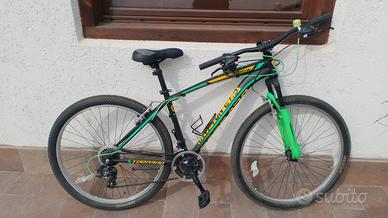 Bicicletta