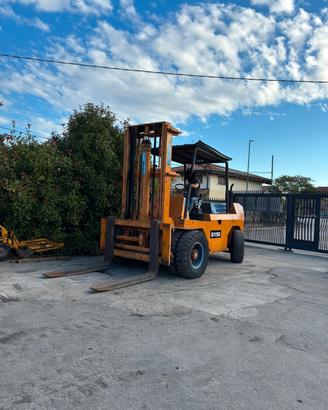 S139 - Muletto 130 q Raniero