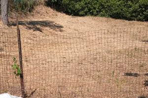 Terreno edificabile a Montegranaro (FM)