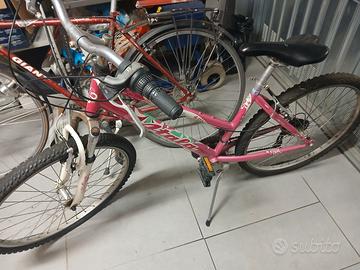 2 Biciclette