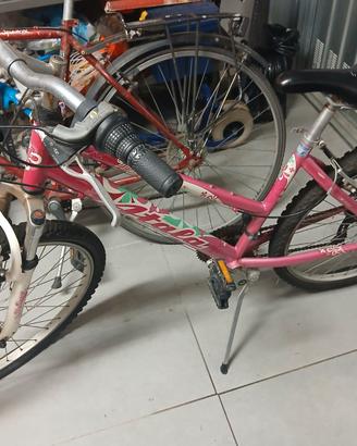 2 Biciclette