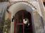 Immagine 6