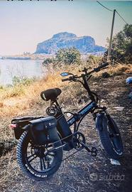 Bicicletta elettrica ruote grandi 750watt