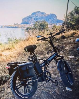 Bicicletta elettrica ruote grandi 750watt