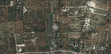 TER. AGRICOLO A CAROVIGNO