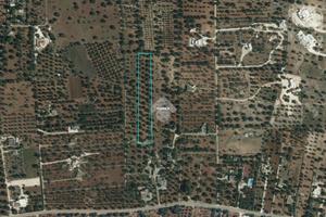 TER. AGRICOLO A CAROVIGNO