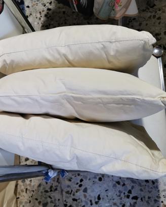 3 cuscini in vera piuma d'oca fodera con cerniera