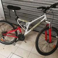 Mountain bike NSR con ammortizzatori