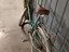 Immagine 2