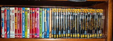 Loto 43 dvd Totò  commedia italiana  ottime condi