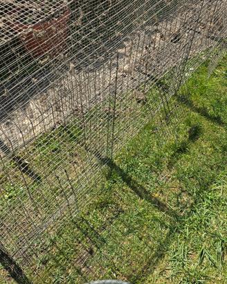 gabbia per conigli 5 posti  