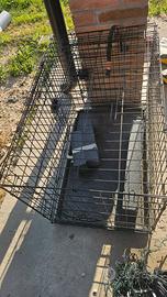  Kennel per cani