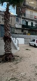 Posti auto assegnati, zona ospedaiera