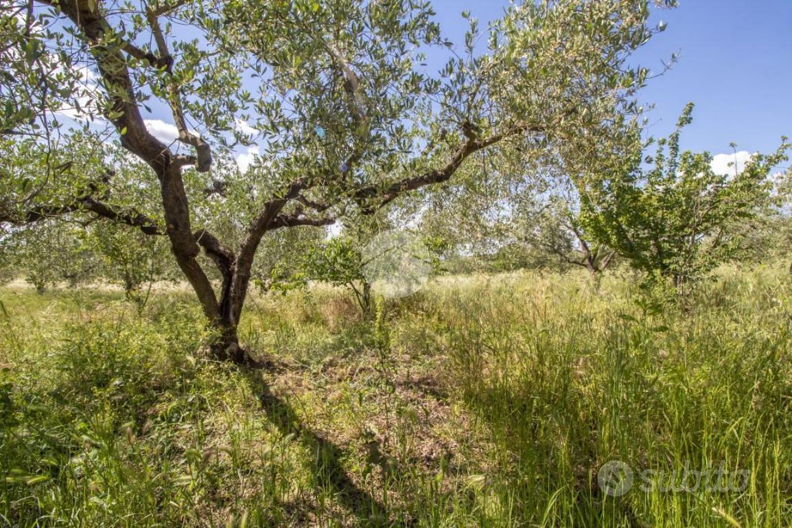 TER. AGRICOLO A MORICONE - Vista 2