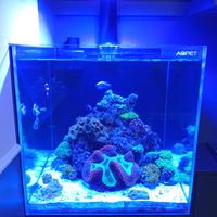 Acquario Marino Aqpet Kubic 50x50x50