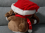 Immagine 2