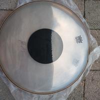 pelle Remo weather king clear 15