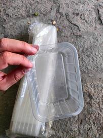 Scatole plastica trasparenti