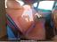 Immagine 11