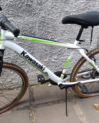 bicicletta Kawasaki mai usata