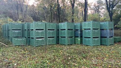 Cassoni bins per frutta