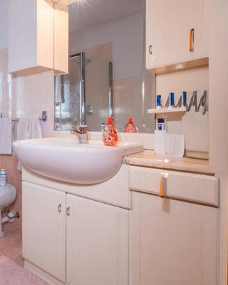 mobiletto del bagno 