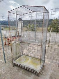 gabbia voliera 