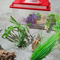 vaschetta ed accessori per acquario 