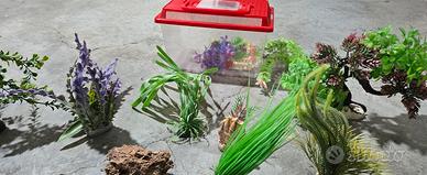 vaschetta ed accessori per acquario 